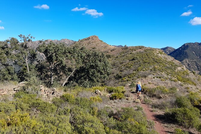 Hike the Cork Oak trail and try some Delicious Cheese - Cork oak forests and rugged gorges