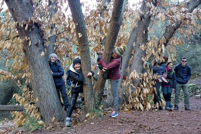 Hike the Cork Oak trail and try some Delicious Cheese - A guided pace that stays practical