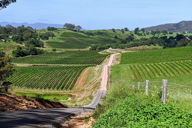 Hunter Valley wine and cheese starting from the Hunter region - Key points to know before booking