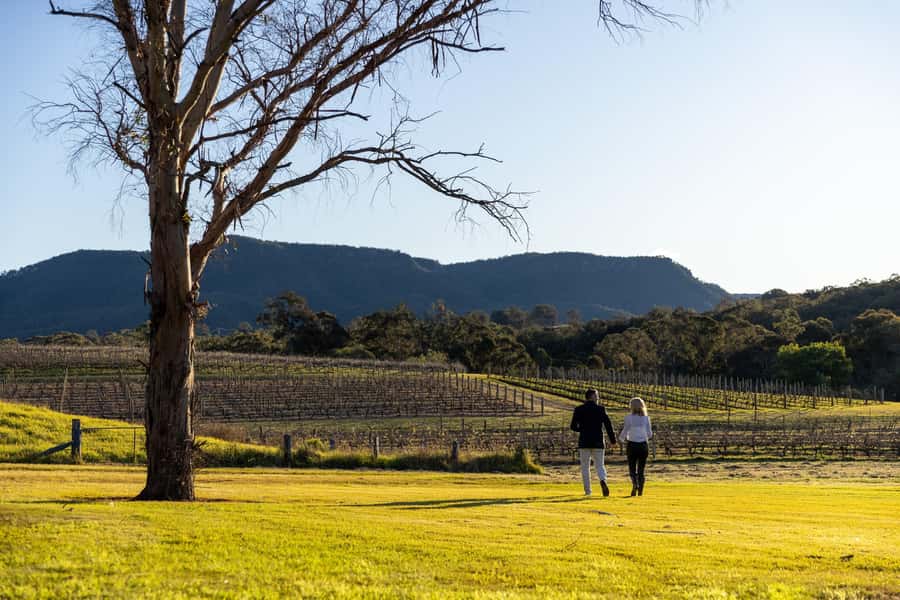 Hunter Valley: Wine and Cheese Tasting - Practical tips for a smoother visit