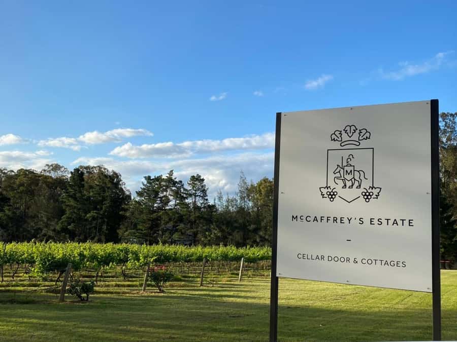 Hunter Valley: Wine and Cheese Tasting Experience - Why the one-hour schedule can work