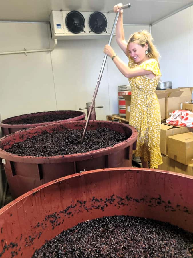 Hunter Valley: Wine, Gin, Cheese and Chocolate Tour - What the guides add to the day