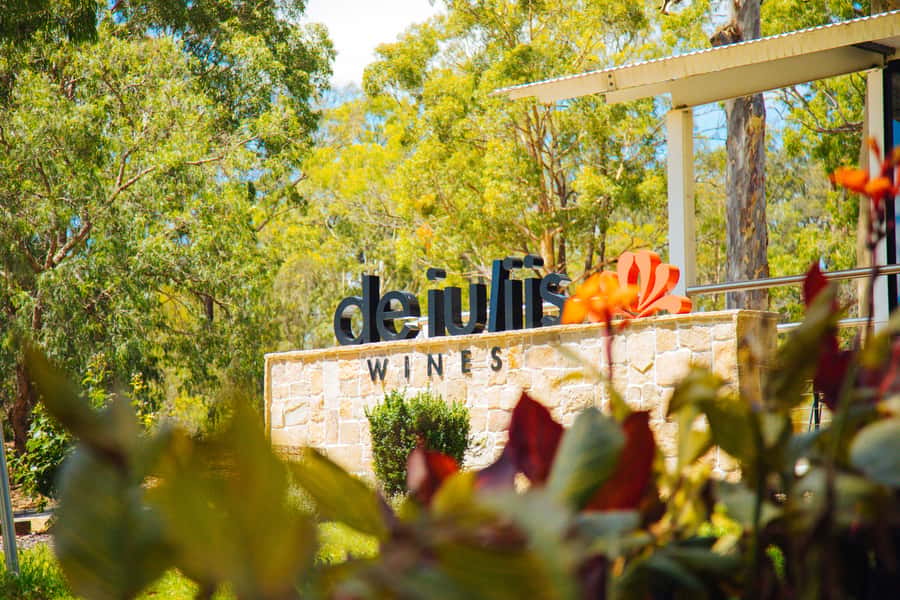 Hunter Valley: Wine, Spirits, and Cheese Tour with Lunch - Spirits served in test tubes