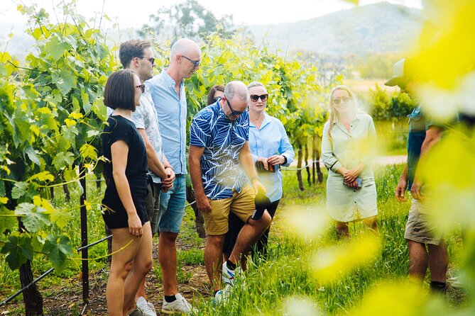 Hunter Valley Wine Tour ex Hunter Valley - Lunch, Cheese, Chocolate, Distillery - Three winery tastings and changing venues