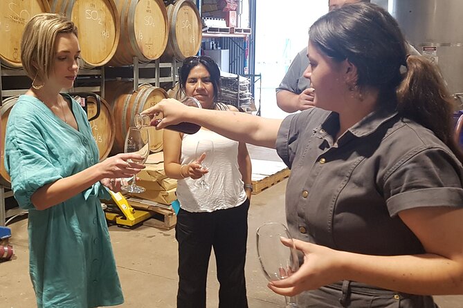 Hunter Valley Wine Tour + Lunch, Gin, Cheese, Choc from Newcastle - Three wineries, with room for boutique producers