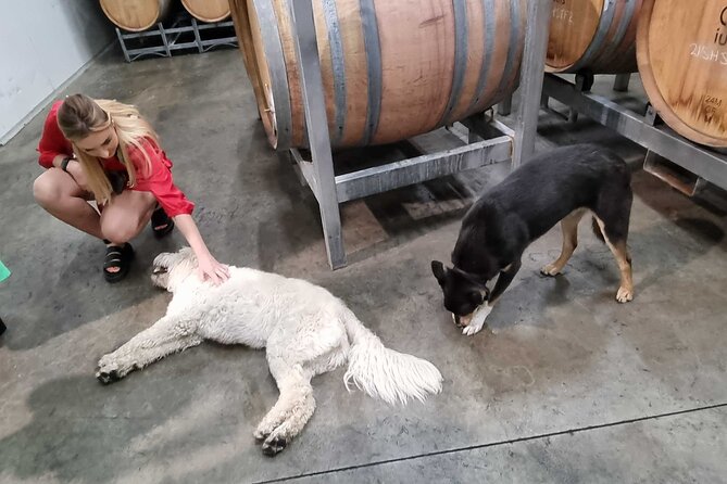 Hunter Valley Wine Tour + Lunch, Gin, Cheese, Choc from Newcastle - A production tour adds more than another tasting