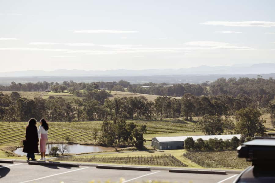 Hunter Valley: Wine Tour with 2-Course Lunch, Choc & Cheese - A proper two-course lunch in the middle of the day