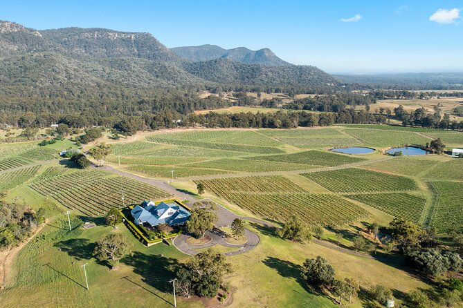 Hunter Valley Wines, 2-Course Lunch, Cheese & Chocolate Tour - Audrey Wilkinson Vineyard: the first view of wine country