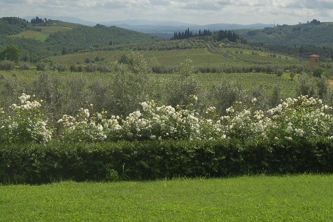 Journey through Italian Cheese - Two wines alongside the cheese
