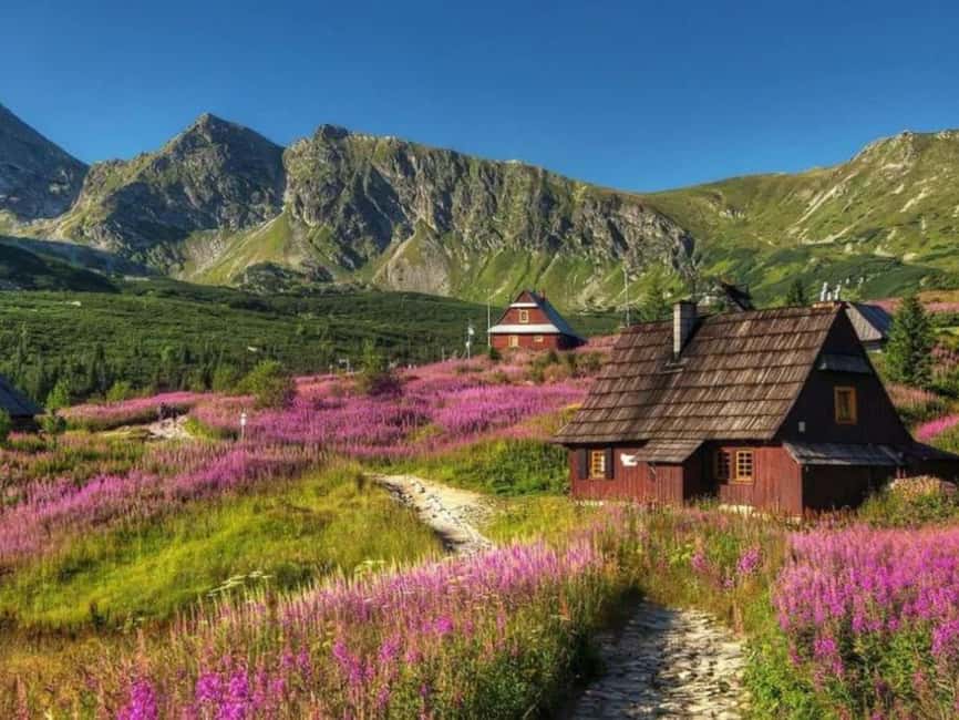 Krakow: Zakopane, Morskie Oko, and Cheese Tasting Tour - How the guides affect the experience