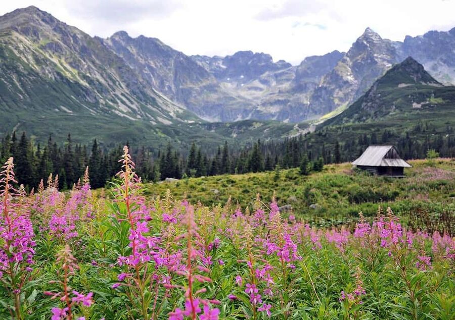 Krakow: Zakopane, Morskie Oko, and Cheese Tasting Tour - Who should book this trip?