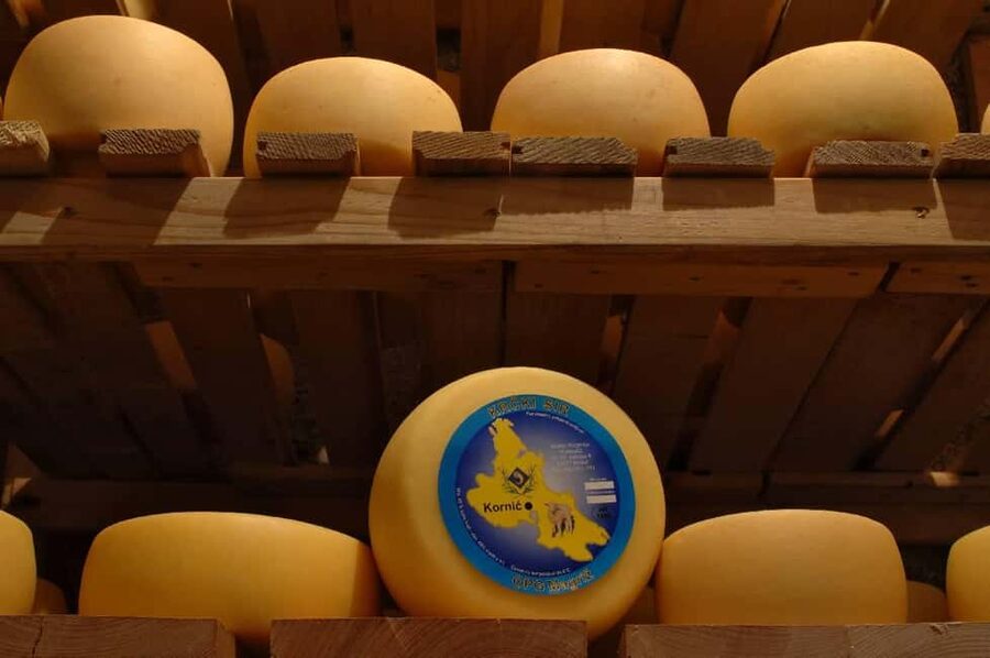 KRK: Cheese factory inside tour and product tasting–guide - Following sheep milk from refrigerator to cheese