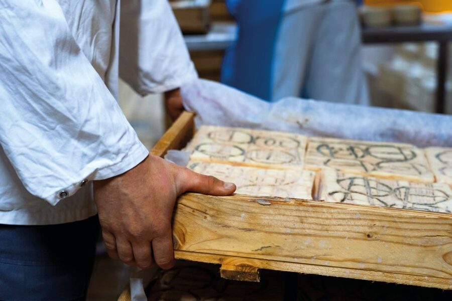 Lake Como: Cheese Factory Tour and Tasting in Valsassina - Italian and English guiding: an important practical note