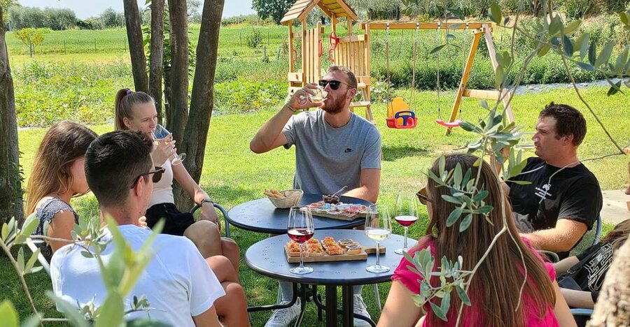 Lazise: Wine Tasting with Charcuterie and Cheese Board - Five things to know before you book