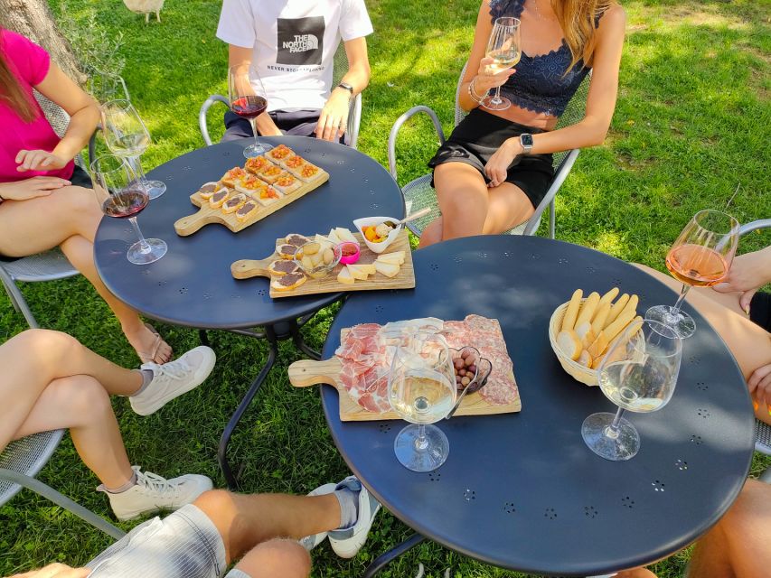 Lazise: Wine Tasting with Charcuterie and Cheese Board - Should you book the Lazise wine tasting?