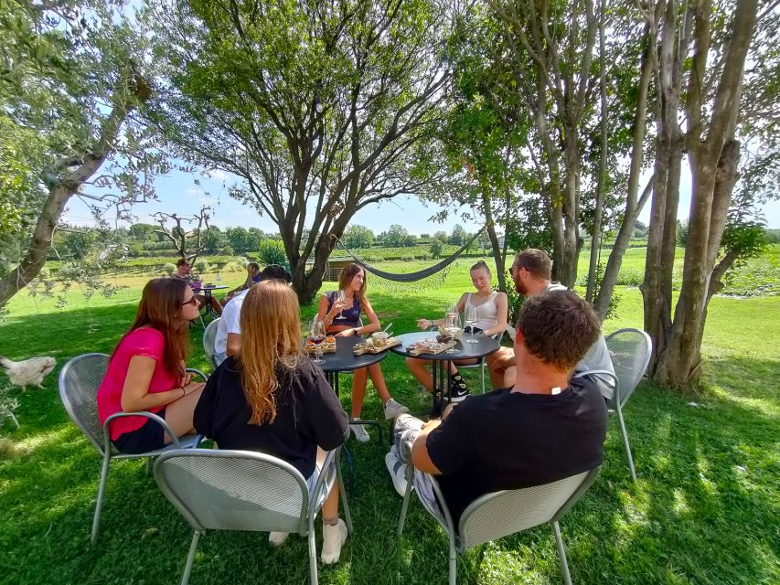 Lazise: Wine Tasting with Charcuterie and Cheese Board - Susy’s welcome and the farm’s working life