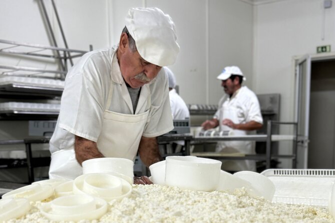 Lisbon Cheese Factory Visit, Wine Tasting and Tile Painting Tour - Painting a Portuguese tile in Seixal
