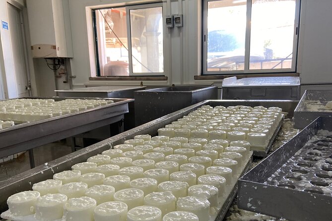 Lisbon Cheese Factory Visit, Wine Tasting and Tile Painting Tour - Free time for lunch in Sesimbra