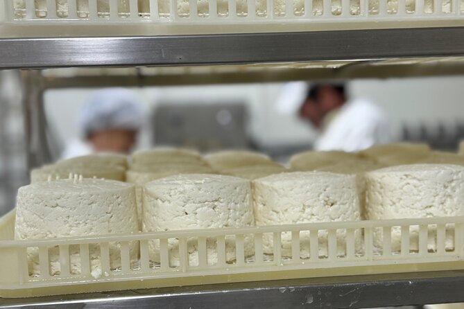 Lisbon Cheese Factory Visit, Wine Tasting and Tile Painting Tour - Ending at the Cristo Rei viewpoint