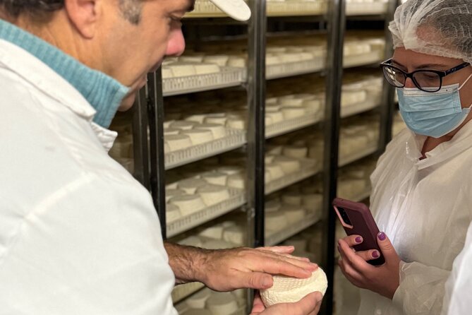 Lisbon Cheese Factory Visit, Wine Tasting and Tile Painting Tour - What the private format adds