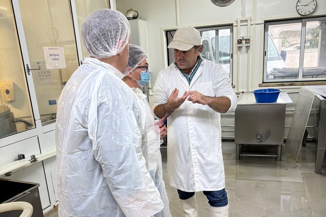 Lisbon Cheese Factory Visit, Wine Tasting and Tile Painting Tour - Four wines and four cheeses at a family winery