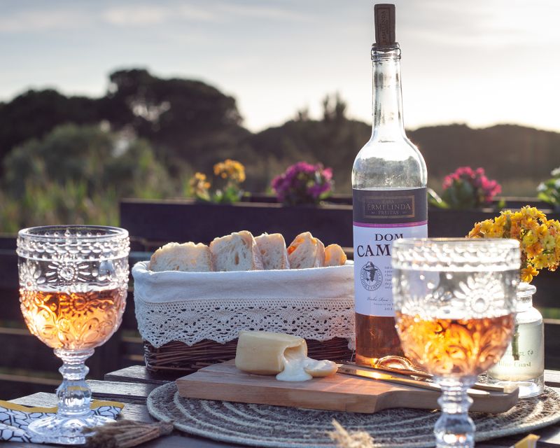 Lisbon Getaway: Private Arrábida Wine & Food Tour - Arrábida Views Between the Tastings