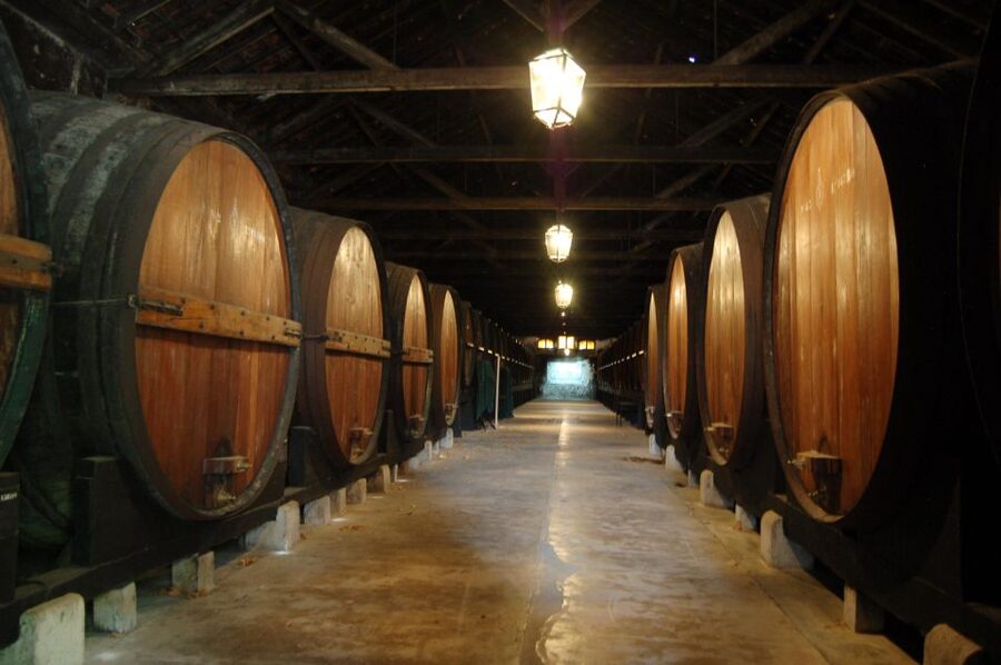 Lisbon Getaway: Private Arrábida Wine & Food Tour - José Maria da Fonseca: Historic Wine and Moscatel
