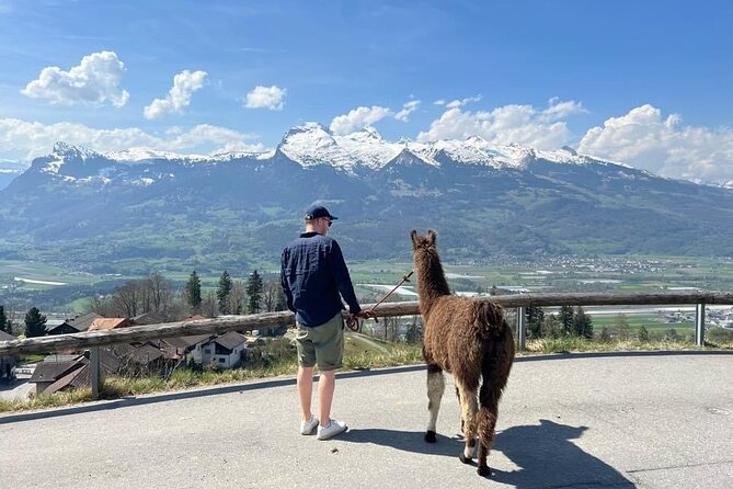 Llama hike with homemade, traditional cheese fondue - Key points to know before booking