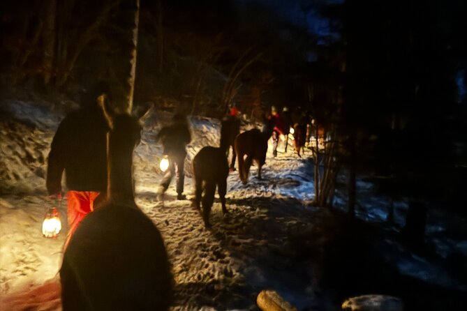 Llama hike with homemade, traditional cheese fondue - Starting at Lama & Alpakahof Triesenberg at 5:00 pm
