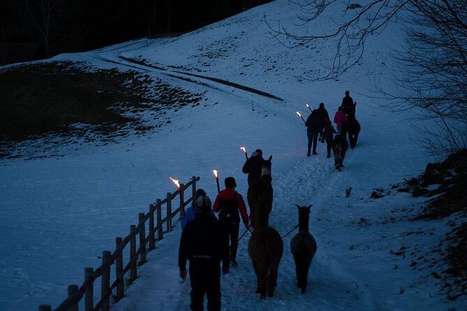 Llama hike with homemade, traditional cheese fondue - Learning about llamas and alpacas along the way