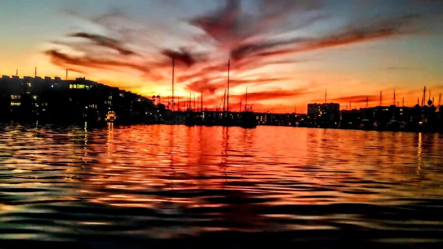 Los Angeles #1: Luxury Boat Cruise-Wine, Cheese & Sea Lions - Who will enjoy this most?