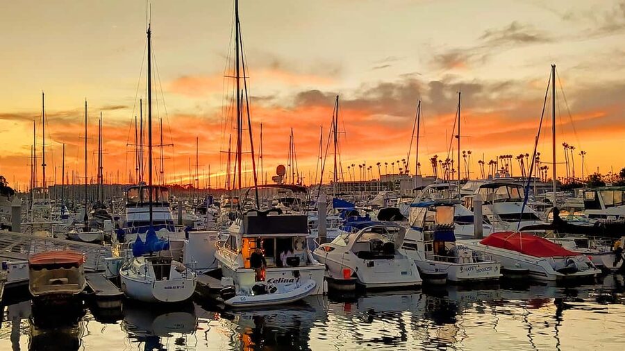 Los Angeles #1: Luxury Boat Cruise-Wine, Cheese & Sea Lions - A quiet boat makes the marina feel different