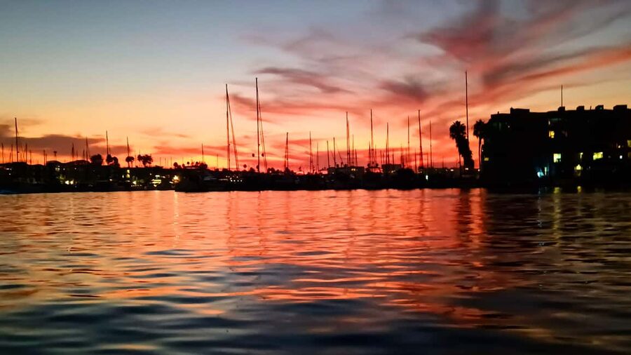 Los Angeles #1: Luxury Boat Cruise-Wine, Cheese & Sea Lions - Captain Shaun adds more than directions