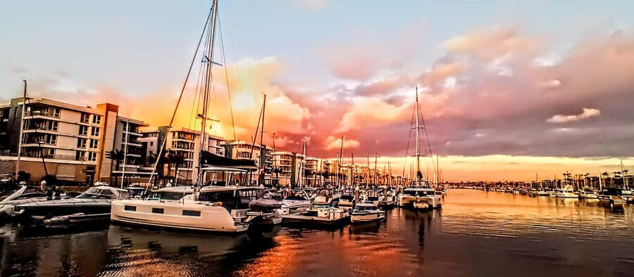 Los Angeles #1: Luxury Boat Cruise-Wine, Cheese & Sea Lions - Starting behind Brizo Bar and Restaurant