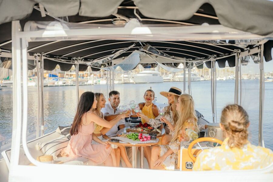 Los Angeles: Luxury Cruise with Wine, Cheese & Sea Lions - Sea lions, birds, and the appeal of waiting