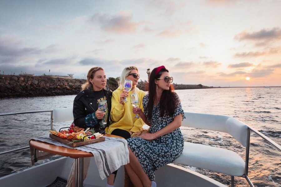 Los Angeles: Luxury Cruise with Wine, Cheese & Sea Lions - Wine and a charcuterie board on the water