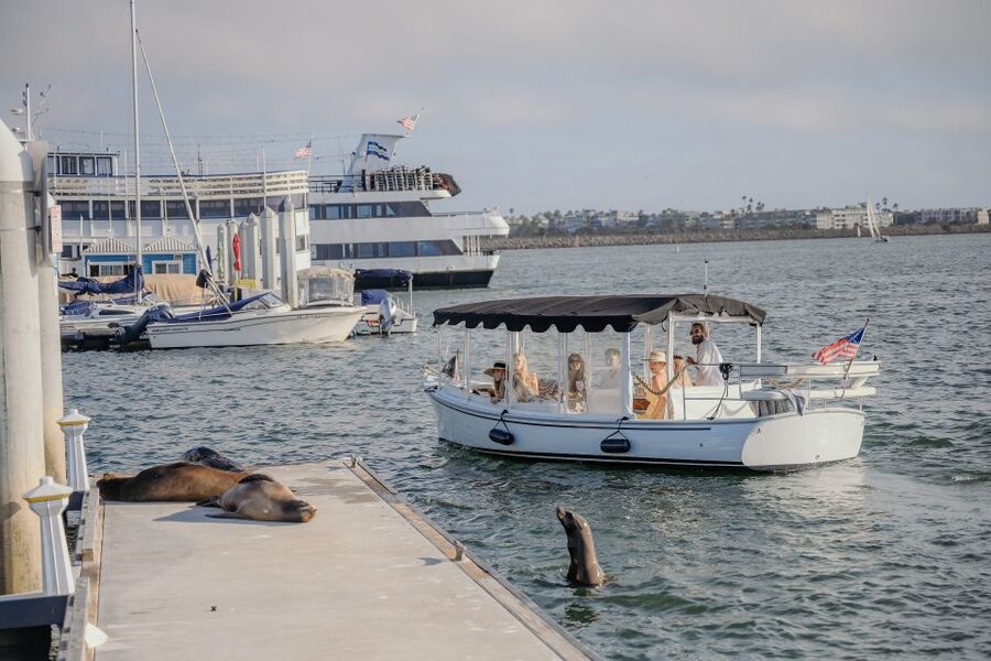 Los Angeles: Luxury Cruise with Wine, Cheese & Sea Lions - Private or small group: which is better?
