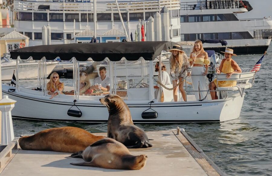 Los Angeles: Luxury Cruise with Wine, Cheese & Sea Lions - Marina del Rey from the main channel
