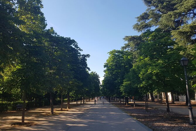 Madrid Bike Tour with Churros and Wine, Ham, and Cheese Upgrade - The ham, cheese, olive oil, and wine upgrade