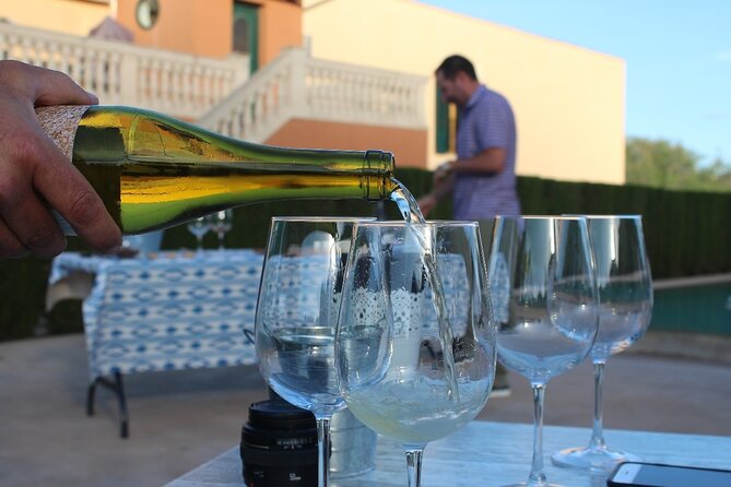 Mallorca Wine and Cheese Tasting - Is $48.57 good value?