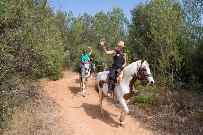 Mallorca Wine and Cheese Tasting - Practical details that matter