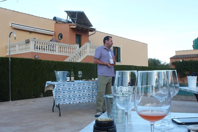 Mallorca Wine and Cheese Tasting - A small group with room for questions