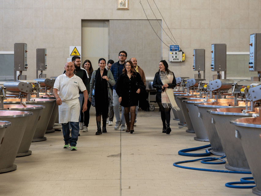 Maranello: Parmesan Factory Tasting & Tour near Modena - From Milk and Whey to a Finished Wheel