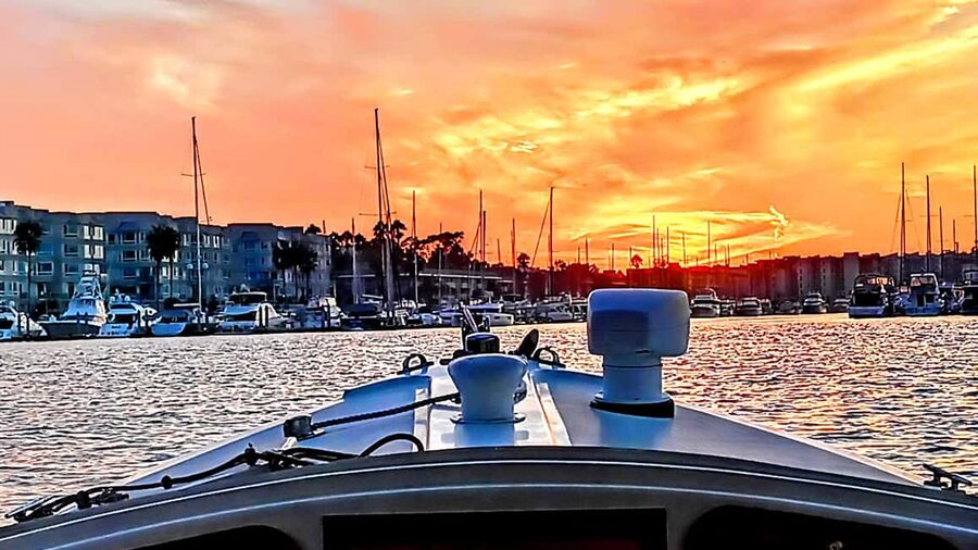 Marina Del Rey: Romantic Cruise, Wine, Cheese, Sealions - What this Marina Del Rey cruise is really like