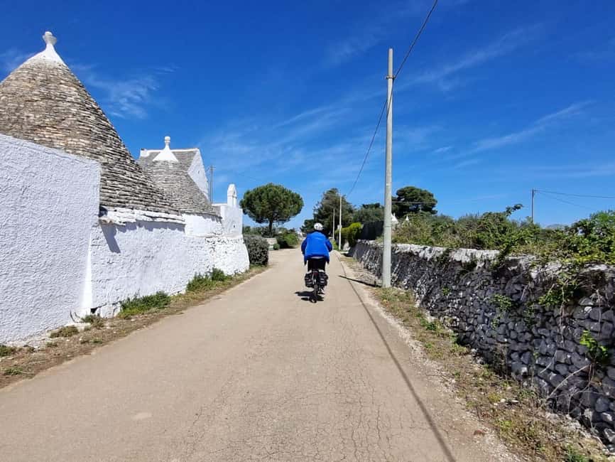 Martina Franca: E-bike farm tour & cheese tasting - At the Cow Farm and On-Site Dairy