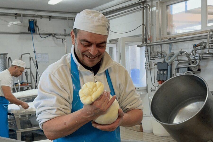 Martina Franca: Mozzarella and Pasta Workshop with Farm Tour - A Martina Franca farm visit with real work involved