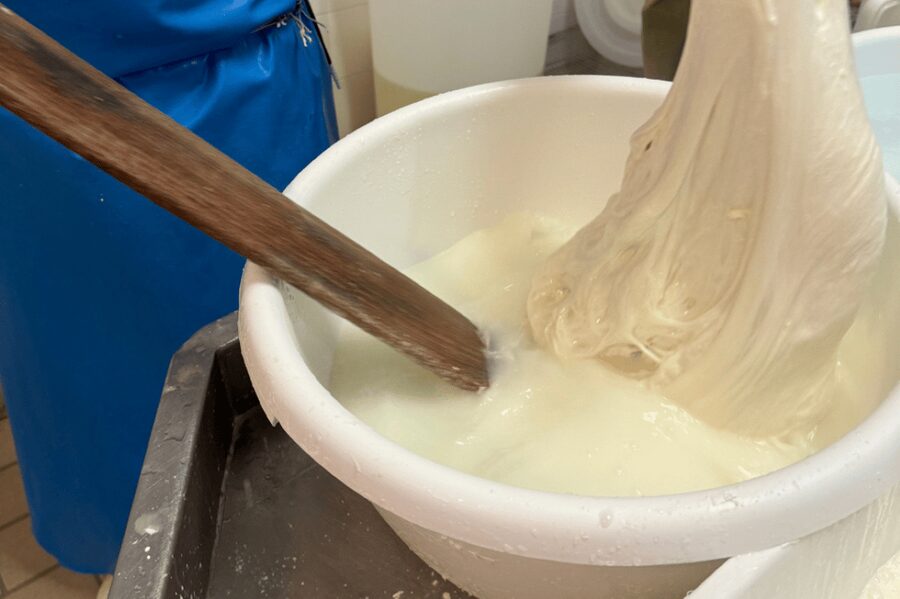 Martina Franca: Mozzarella and Pasta Workshop with Farm Tour - Starting with animals and sustainable farm practices