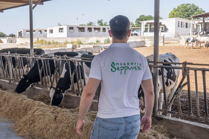 Masseria Seppunisi Tour - Mozzarella and Burrata experience - Who will enjoy this farm experience most