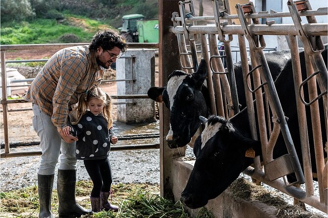 Menorca: Cheesemaking and Farm-Fresh Product Tasting - Why this Ferreries farm visit is worth your time