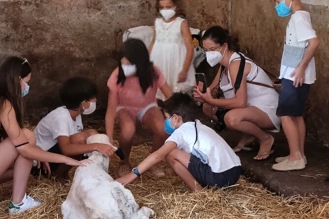 Menorca: Cheesemaking and Farm-Fresh Product Tasting - Learning how Mahon-Menorca cheese is made